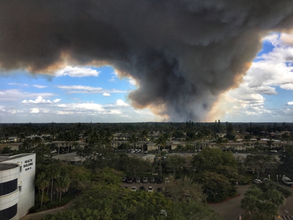 Collier County Wildfires