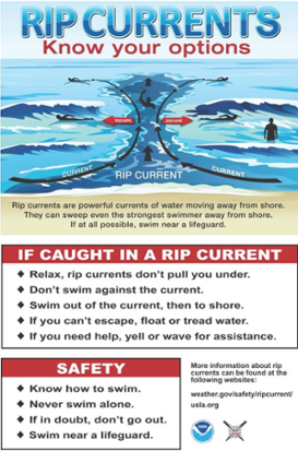 RIP CURRENTS. Know your options.
