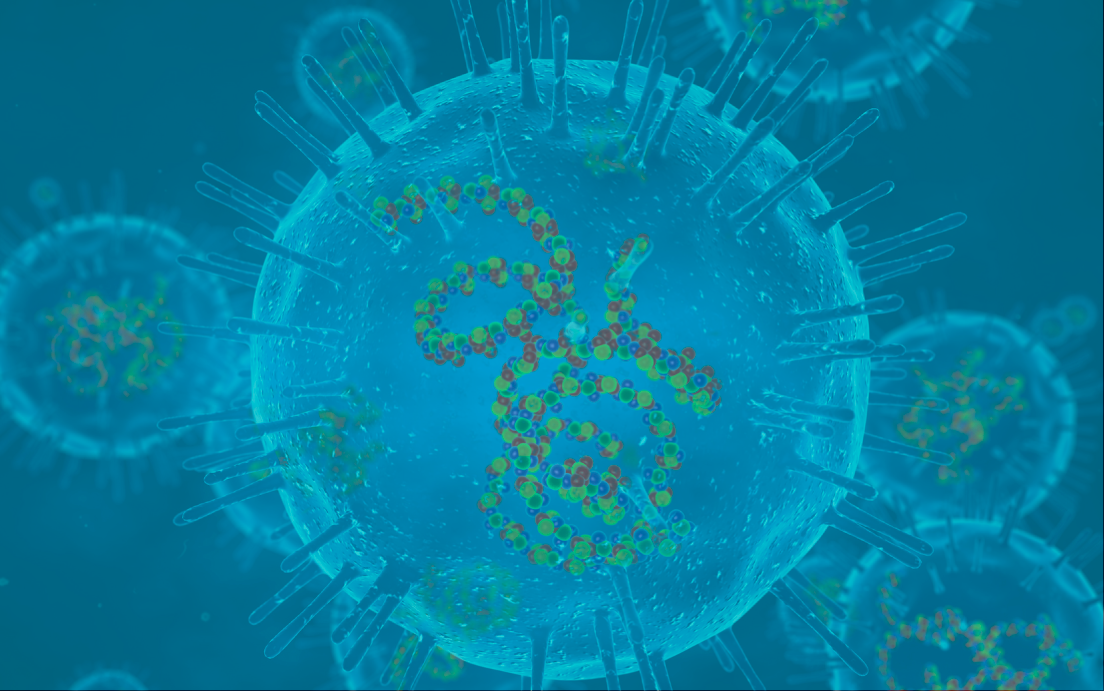 Illustration of Rubella Virus